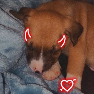 Meet your Posher, Casey